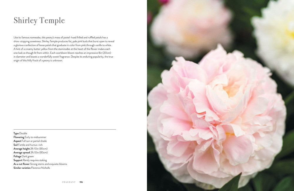 Peonies: Beautiful Varieties For Home & Garden Book