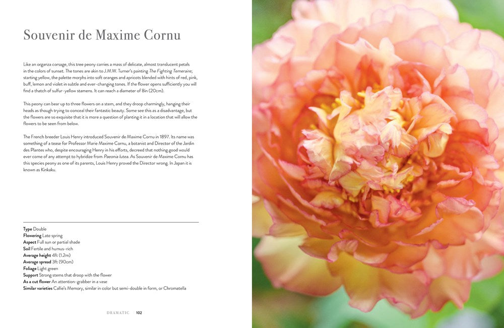 Peonies: Beautiful Varieties For Home & Garden Book